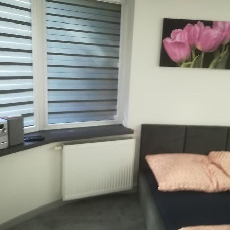 Appartement Viktoria à Ełk Extérieur photo