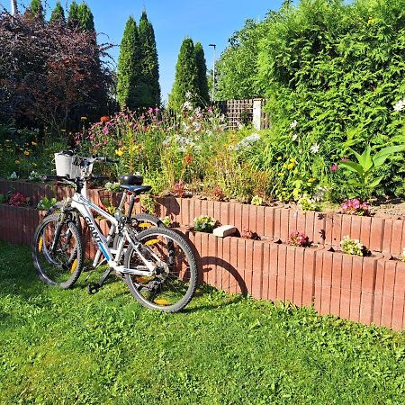 Appartement Viktoria à Ełk Extérieur photo