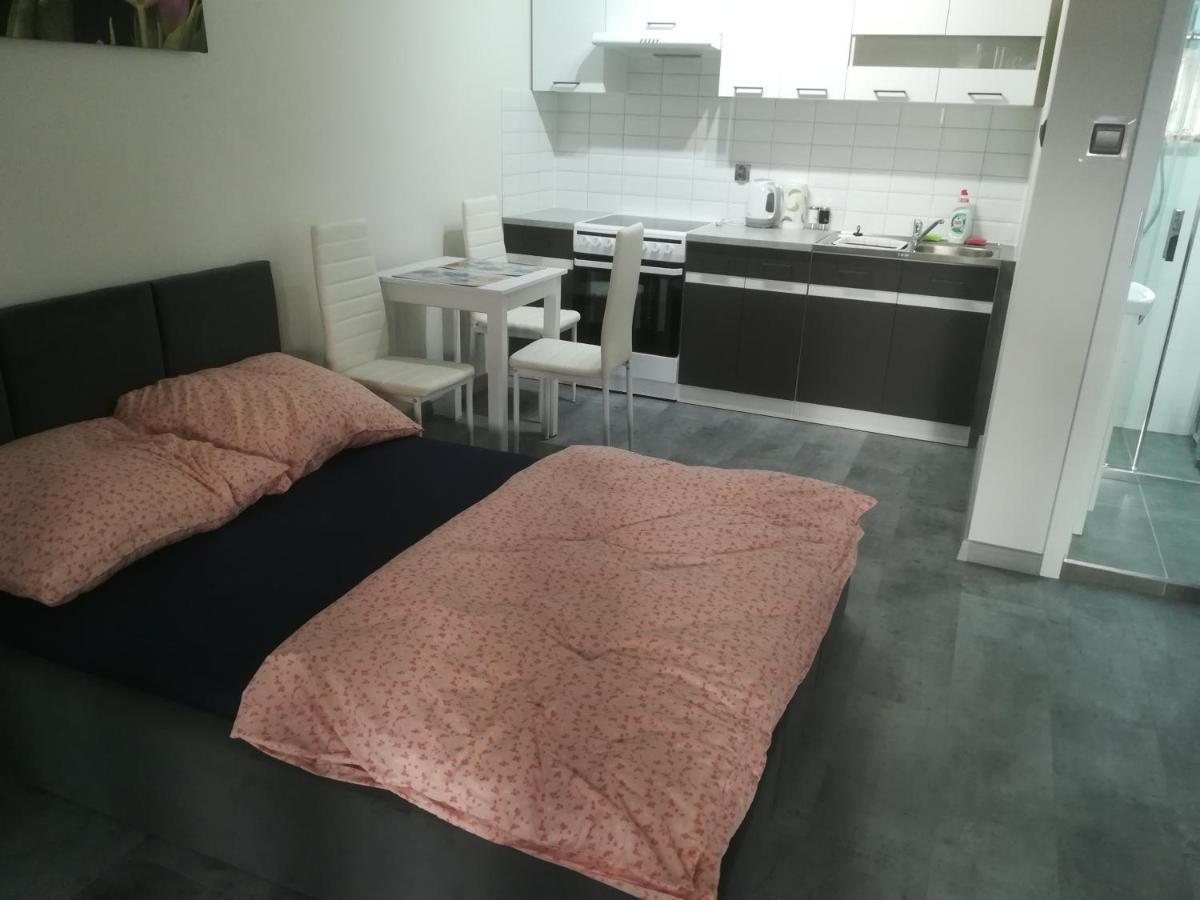 Appartement Viktoria à Ełk Extérieur photo