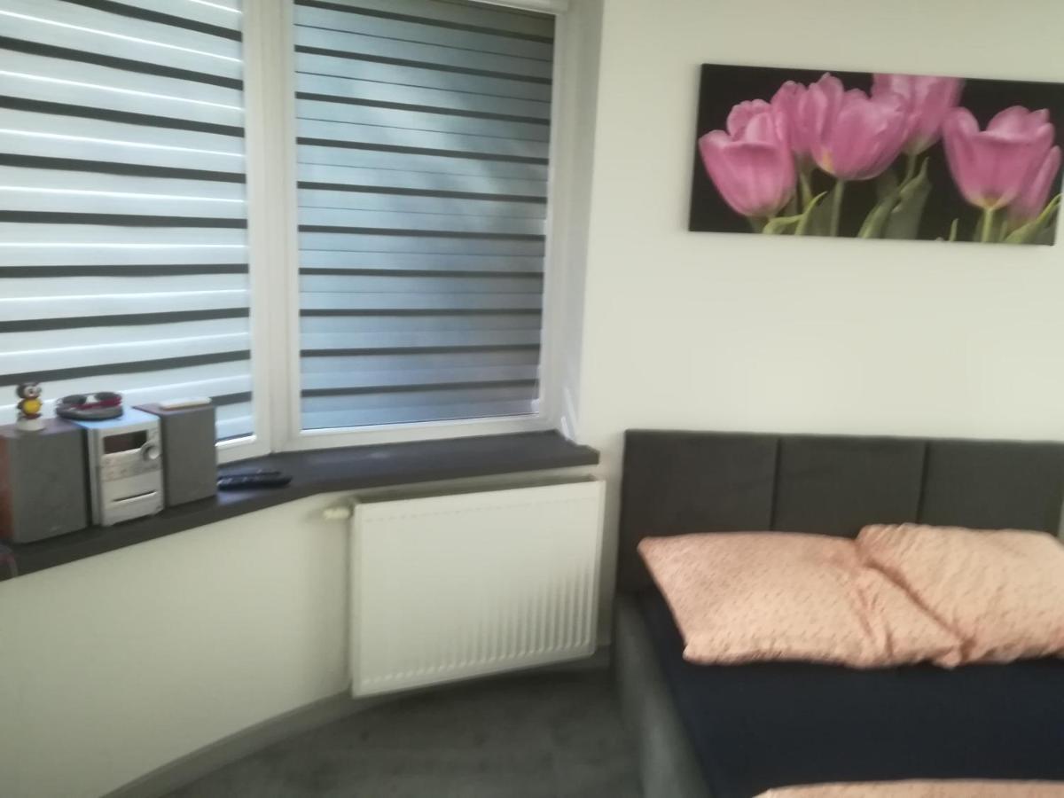 Appartement Viktoria à Ełk Extérieur photo