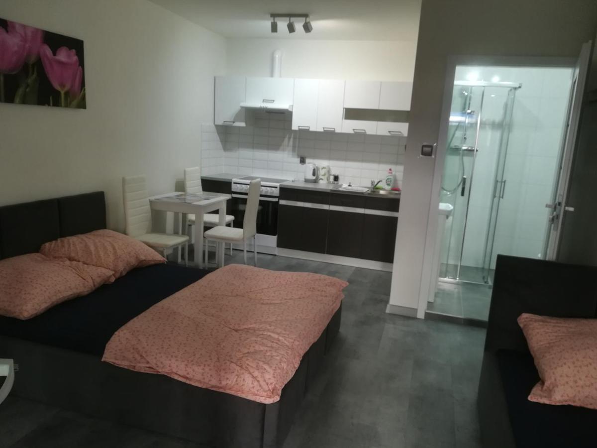 Appartement Viktoria à Ełk Extérieur photo